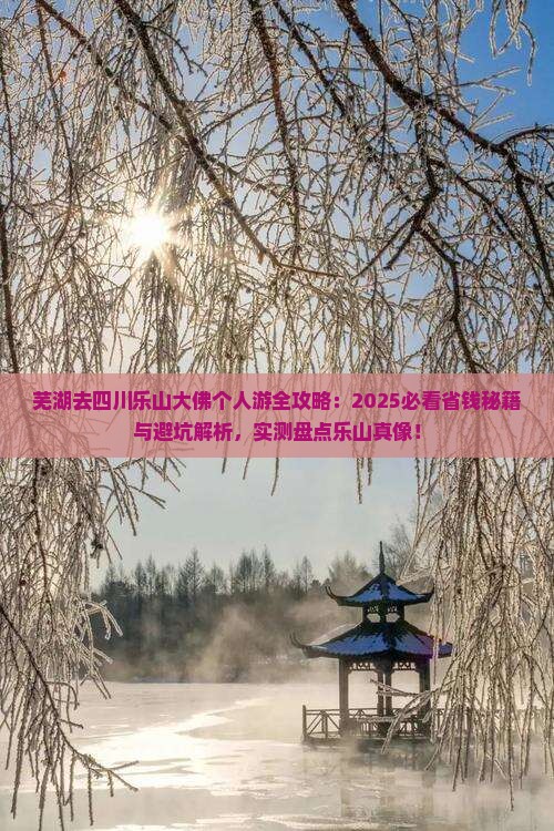 芜湖去四川乐山大佛个人游
