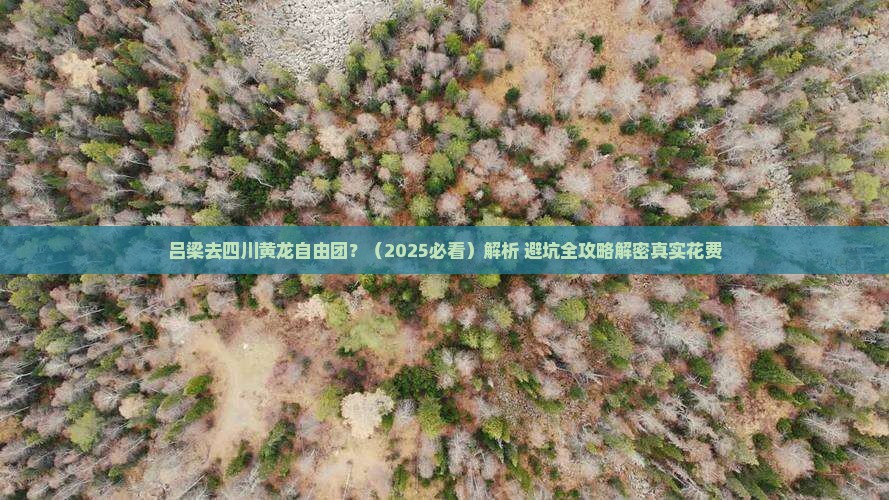 吕梁去四川黄龙自由团