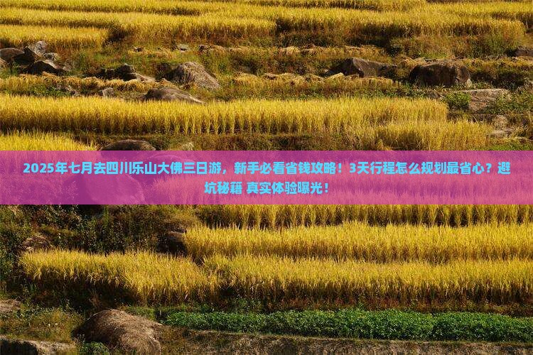 七月去四川乐山大佛三日游