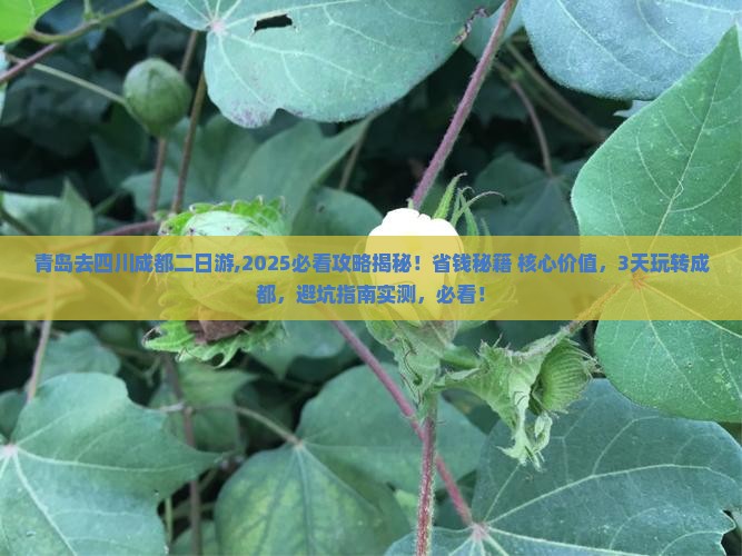 青岛去四川成都二日游