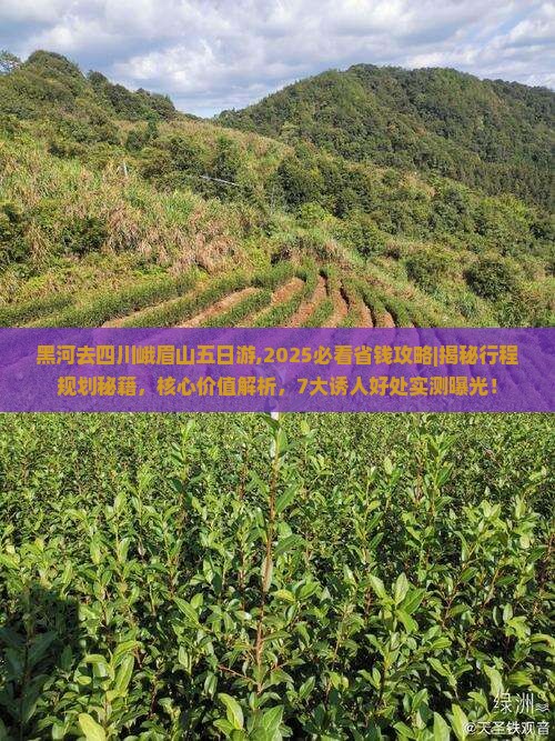 黑河去四川峨眉山五日游