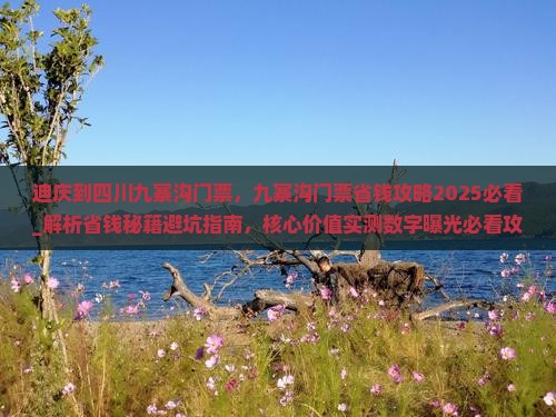 迪庆到四川九寨沟门票