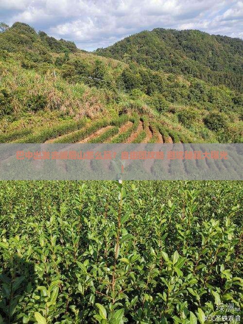 巴中去四川峨眉山自由团