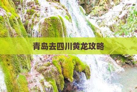青岛去四川黄龙攻略