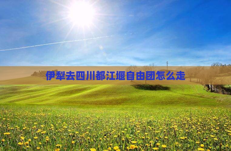 伊犁去四川都江堰自由团