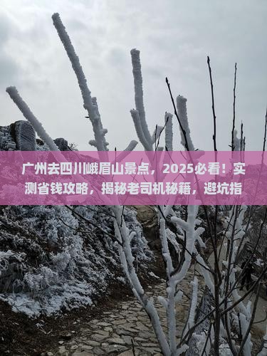 广州去四川峨眉山景点