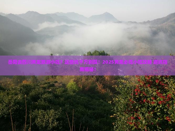 岳阳去四川黄龙旅游小吃