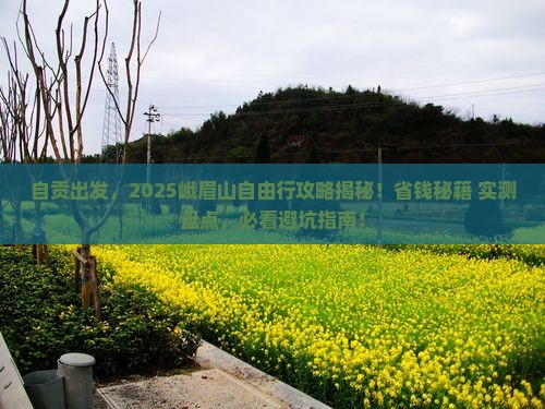 自贡到四川峨眉山自由团