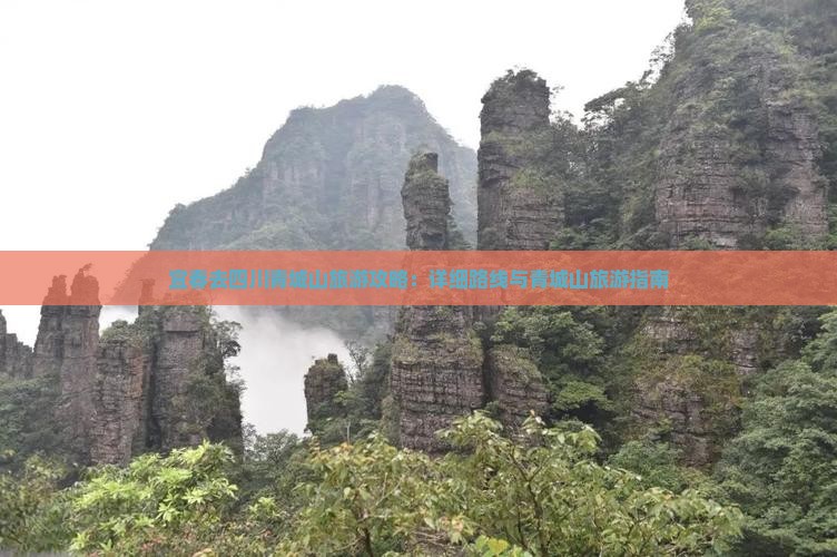 宜春去四川青城山旅游