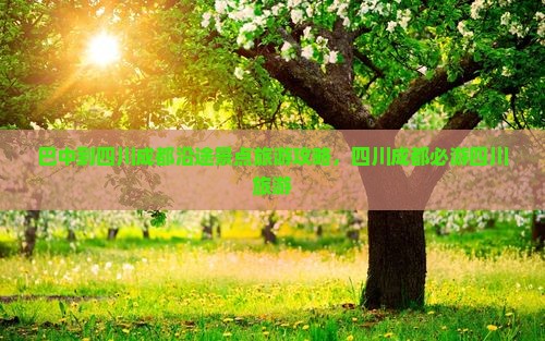 巴中到四川成都哪里玩