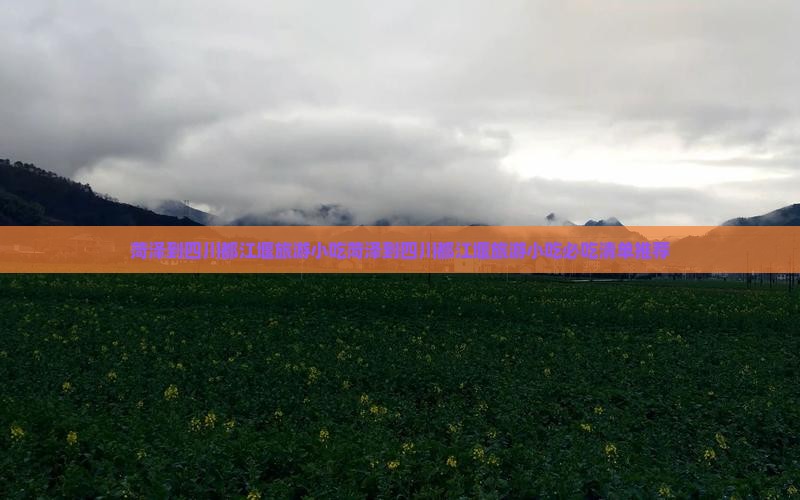 菏泽到四川都江堰旅游小吃