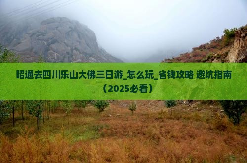 昭通去四川乐山大佛三日游