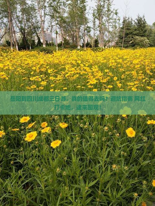 岳阳到四川成都三日游