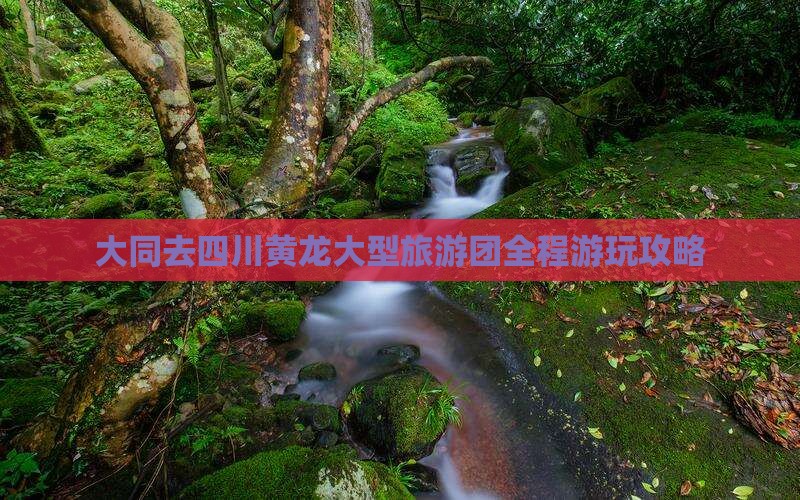 大同去四川黄龙大型旅游团