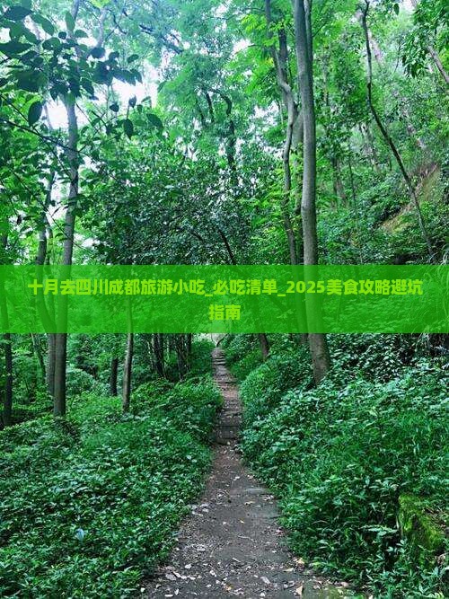 十月去四川成都旅游小吃