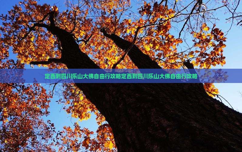 定西到四川乐山大佛自由行
