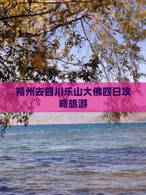 朔州去四川乐山大佛四日游