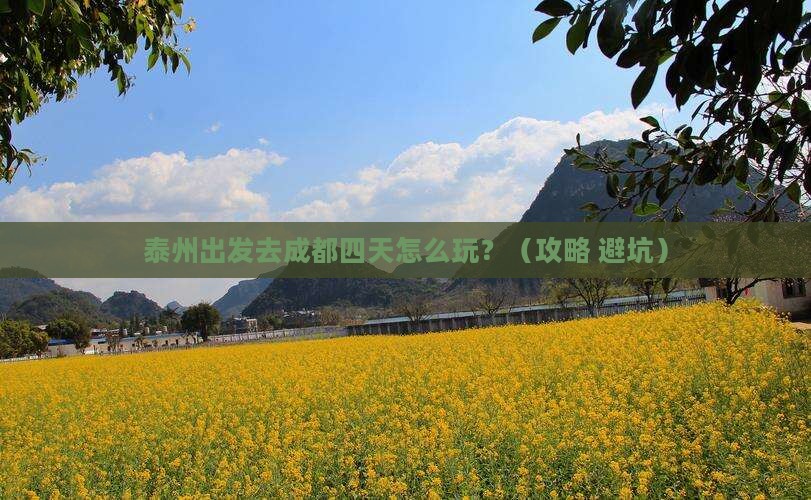 泰州到四川成都四日游