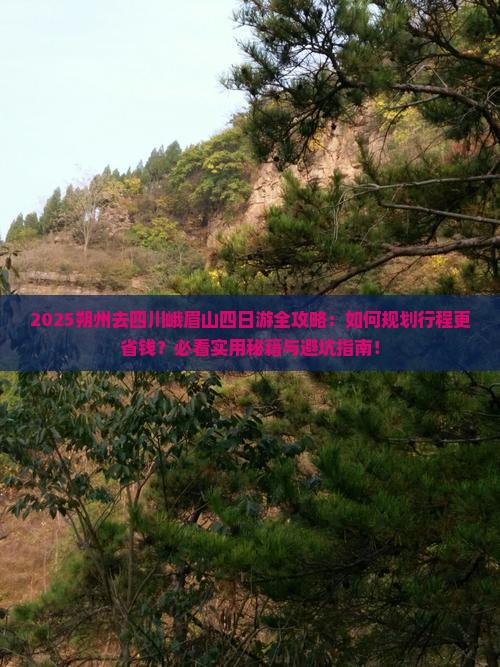 朔州去四川峨眉山四日游 朔州去四川峨眉山四日游