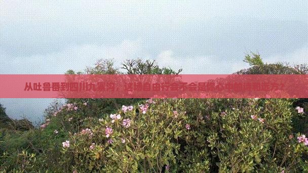 吐鲁番到四川九寨沟自由行