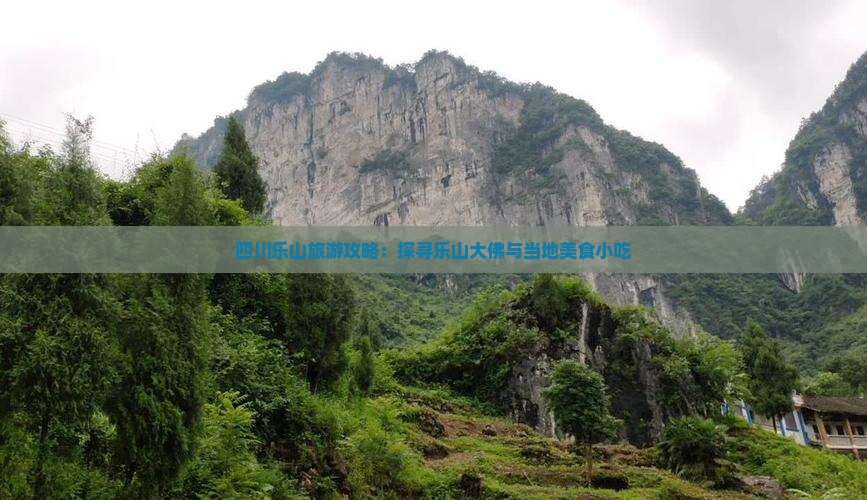 林芝到四川乐山大佛旅游小吃