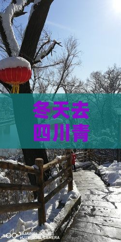冬天到四川青城山个人游