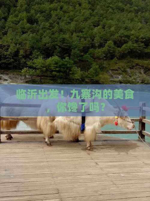 临沂去四川九寨沟旅游小吃
