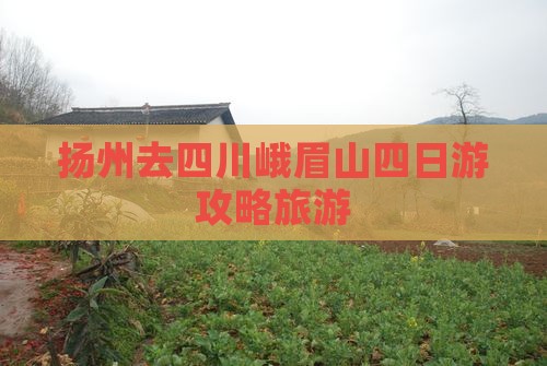 扬州去四川峨眉山四日游