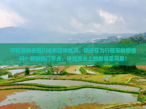 呼和浩特去四川成都团体旅游