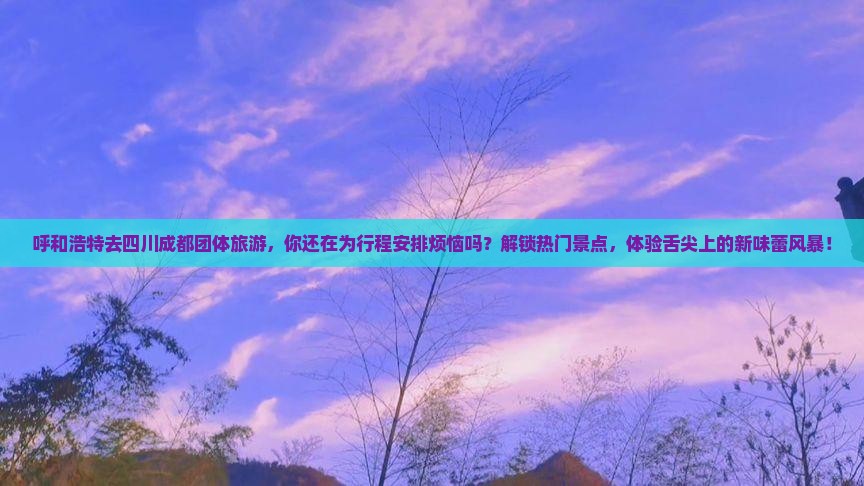 呼和浩特去四川成都团体旅游