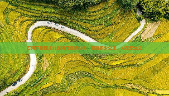 石河子到四川九寨沟门票 石河子到四川九寨沟门票