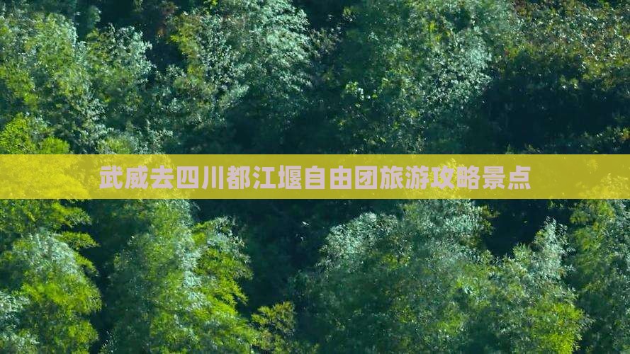 武威去四川都江堰自由团
