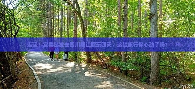 宜宾去四川都江堰四日游