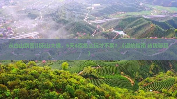白山到四川乐山大佛团体旅游
