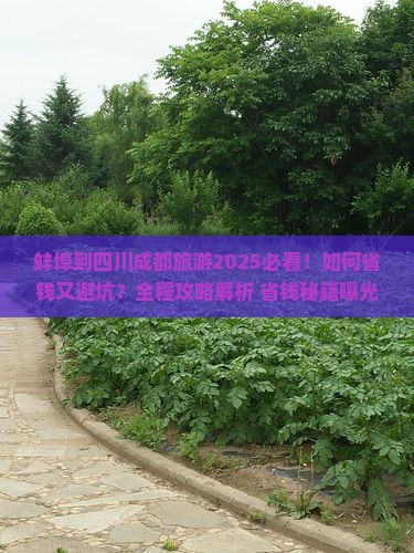 蚌埠去四川成都攻略