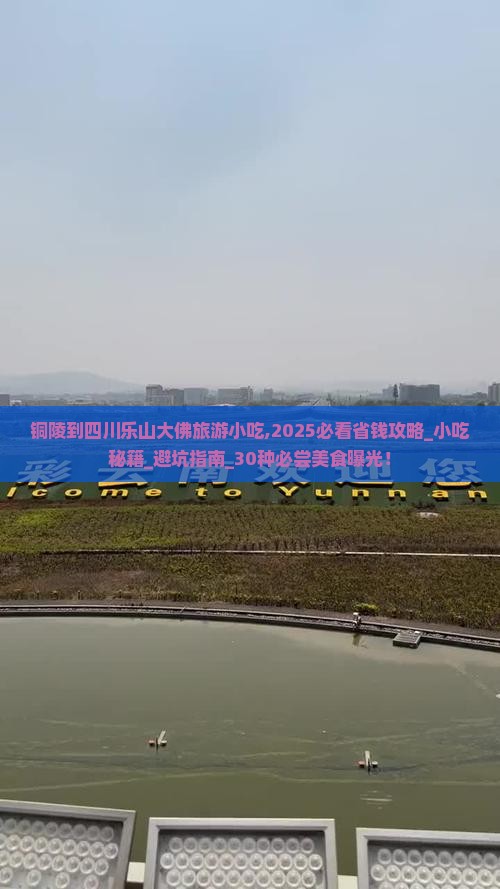 铜陵到四川乐山大佛旅游小吃