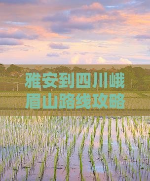 雅安到四川峨眉山个人游
