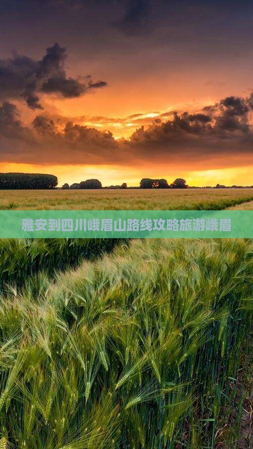雅安到四川峨眉山个人游