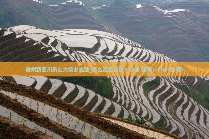 梧州到四川乐山大佛必去地