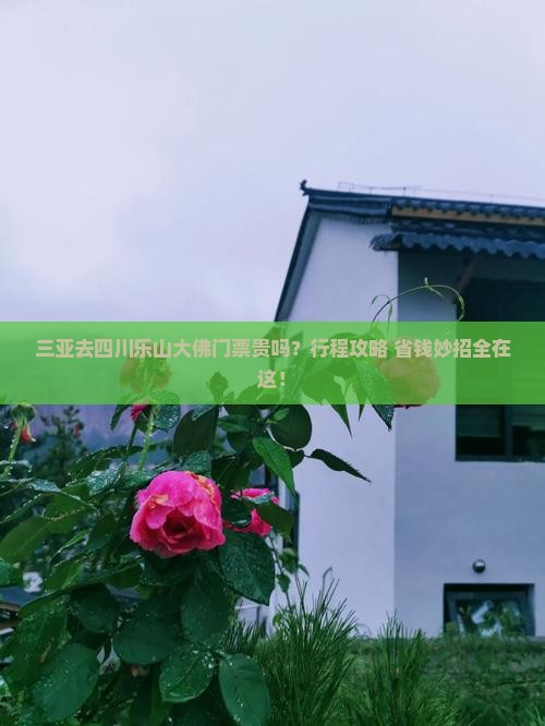 三亚去四川乐山大佛门票