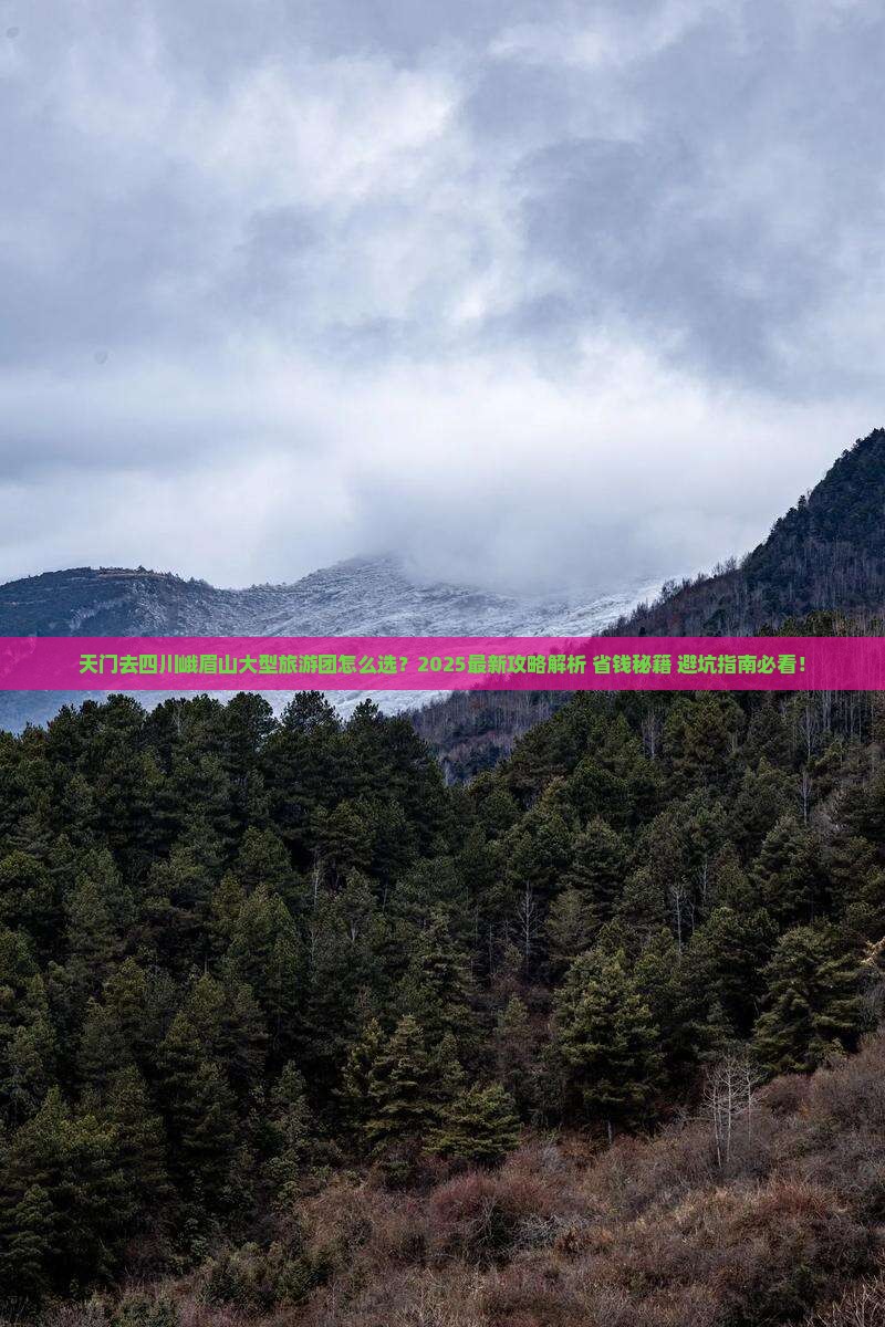 天门去四川峨眉山大型旅游团