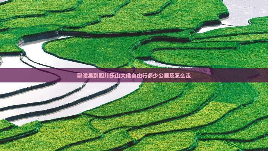 鄢陵县到四川乐山大佛自由行