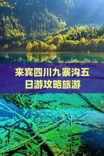 来宾到四川九寨沟五日游