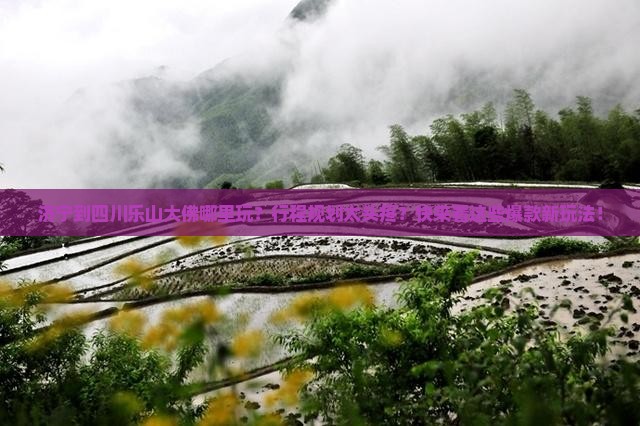 济宁到四川乐山大佛哪里玩