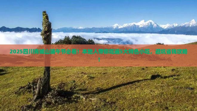 端午节到四川青城山旅游小吃