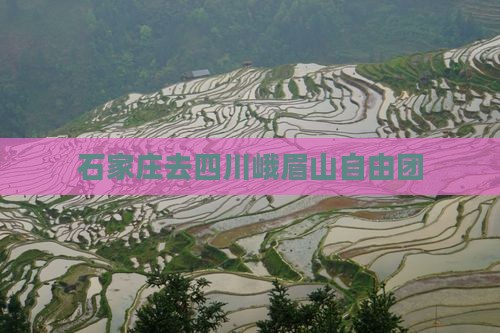 石家庄去四川峨眉山自由团