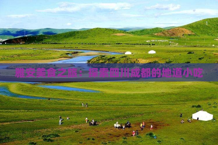雅安去四川成都旅游小吃
