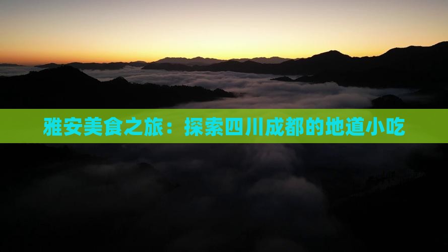 雅安去四川成都旅游小吃