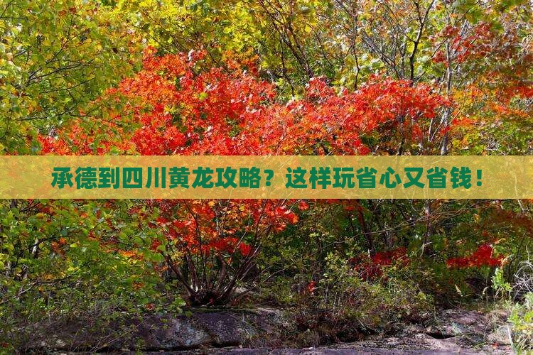 承德到四川黄龙攻略