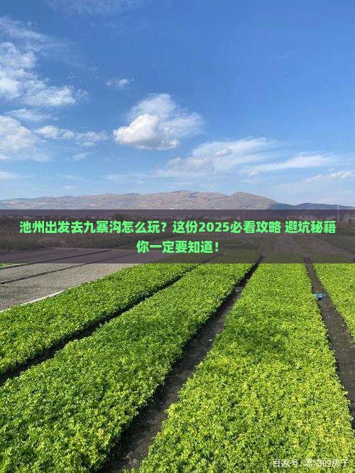 池州到四川九寨沟旅行社